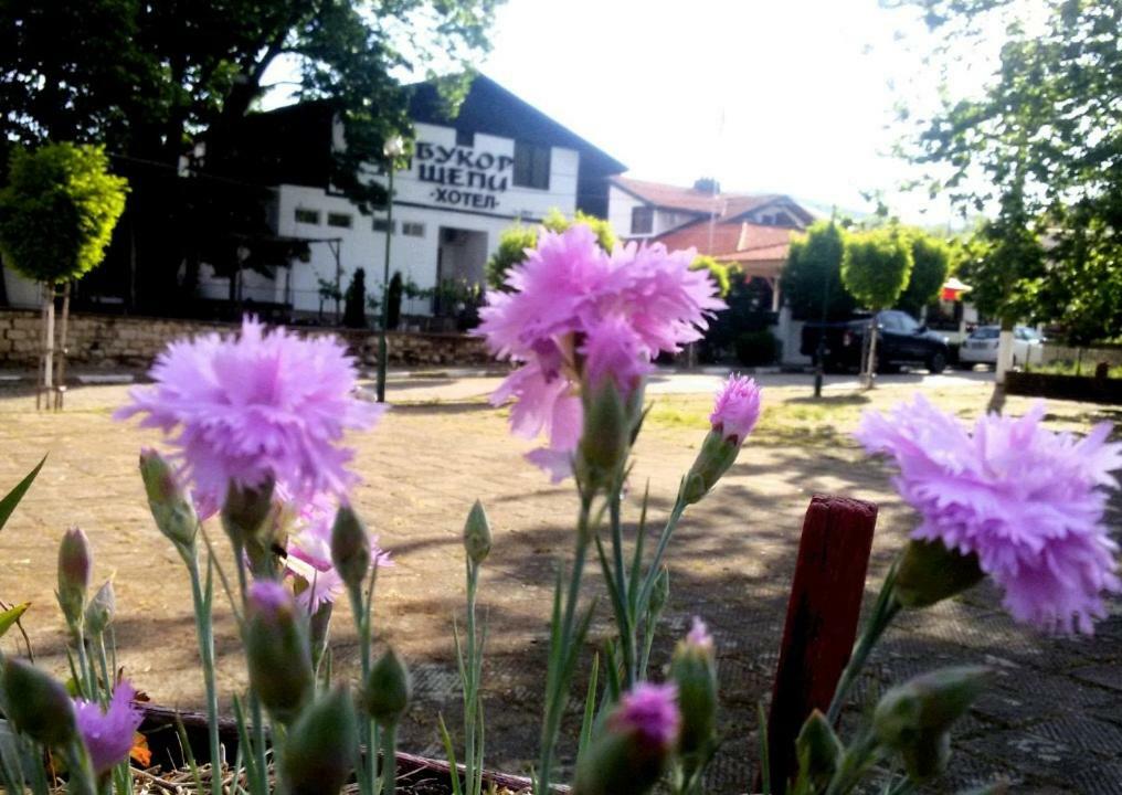 Guest House Bukor Shtepi Mandrica 외부 사진
